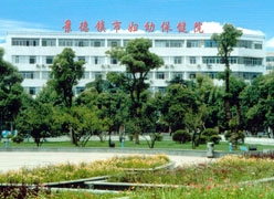 江西省景德镇市生育保险查询