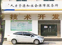 广东省湛江市失业保险查询