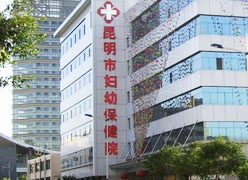 云南省昆明市生育保险查询