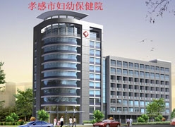 湖北省孝感市生育保险查询
