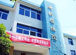 安徽省黄山市生育保险查询