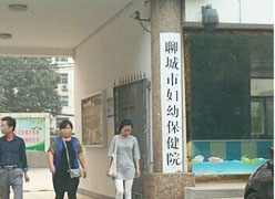 山东省聊城市生育保险查询