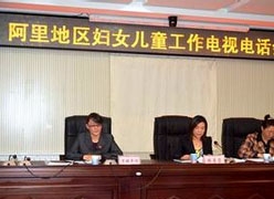 西藏阿里地区生育保险查询