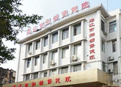 广东省湛江市生育保险查询