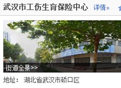 湖北省武汉市生育保险查询