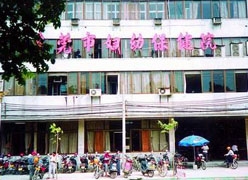 广东省东莞市生育保险查询