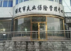 河北省保定市失业保险查询