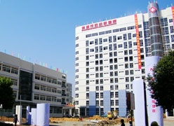 广东省河源市生育保险查询