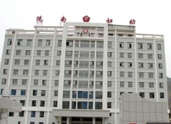 甘肃省陇南市生育保险查询