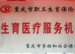 重庆市生育保险查询