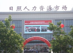 山东省日照市失业保险查询