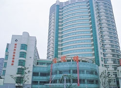 浙江省湖州市生育保险查询