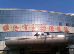 云南省临沧市生育保险查询