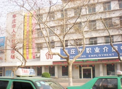 山东省枣庄市失业保险查询