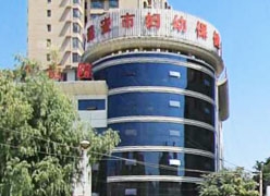 陕西省延安市生育保险查询