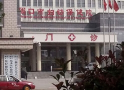 河南省周口市生育保险查询