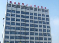 山东省青岛市失业保险查询