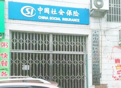 福建省宁德市生育保险查询