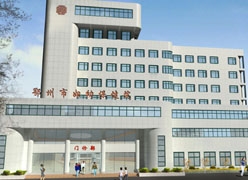 湖北省鄂州市生育保险查询