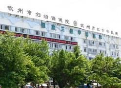 广西钦州市生育保险查询