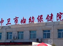 宁夏中卫市生育保险查询