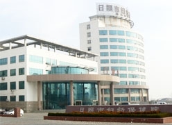 山东省日照市生育保险查询