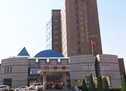 辽宁省大连市生育保险查询