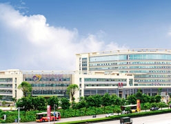 广东省江门市生育保险查询
