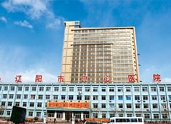 辽宁省辽阳市生育保险查询