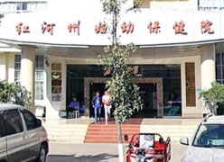 云南省红河州生育保险查询