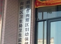 黑龙江省鹤岗市生育保险查询