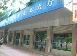 四川省南充市失业保险查询