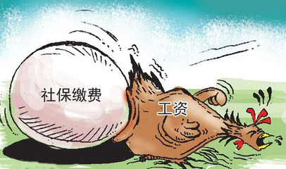 社保交（缴）纳的比例是多少