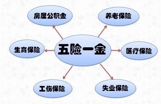 社保学习资料（五险一金），你真的知道吗？