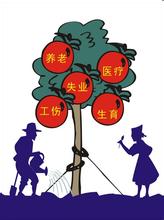 办理社保卡流程