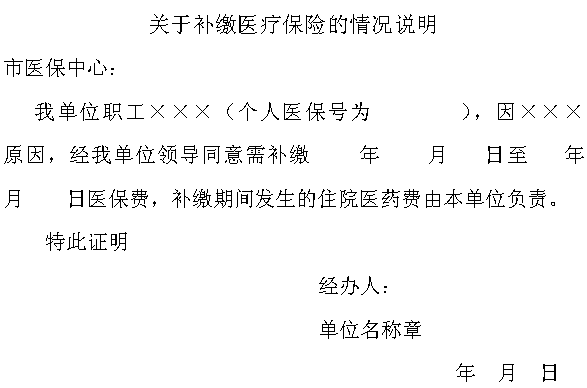 医保补缴情况说明书
