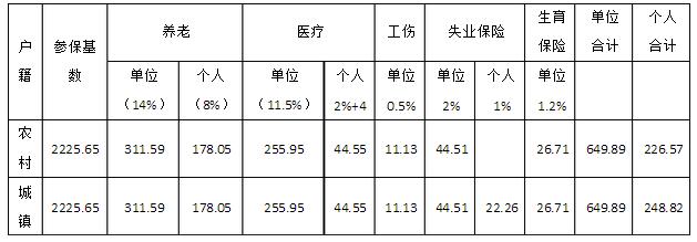 个人社保费明细