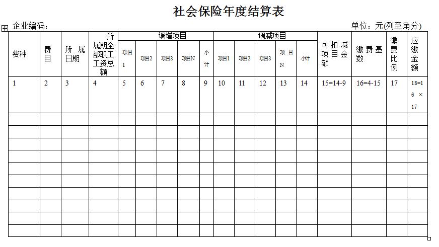 社保年度结算表