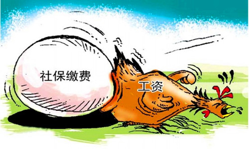 社保缴费个人工资调整的介绍