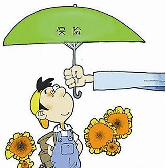 怎么查看社保卡号 你懂多少