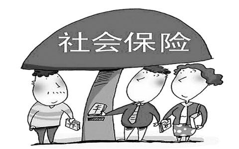社区办理社保养老保险须知