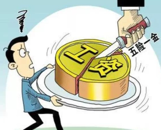 申请网上申报社保的办理须知