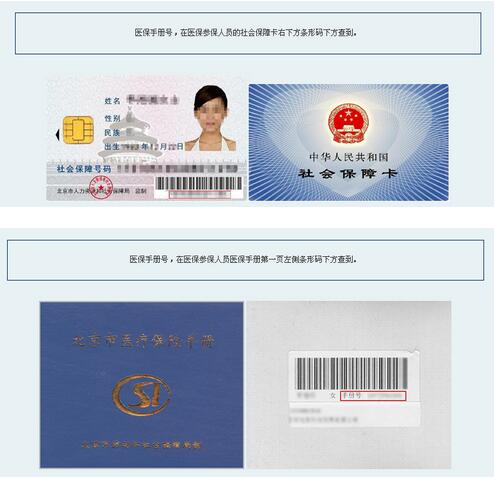 个人社保缴费信息查询操作步骤（5）