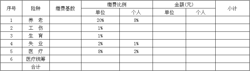 社会保险缴纳明细表