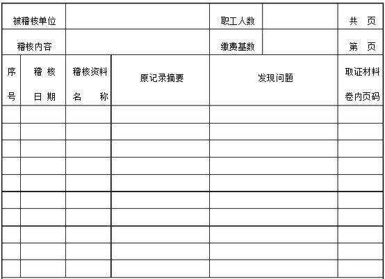 社保稽核登记表（1）