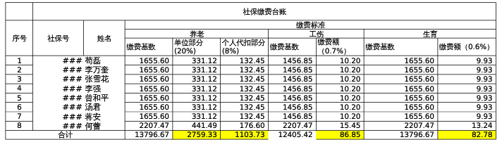 社保缴费台账