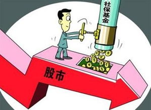 社保基金买什么股票  详细请看此文