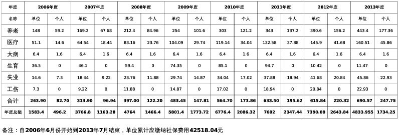 社保历年缴费明细单(表)