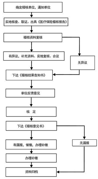 医保稽核流程图