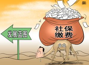 缴纳社保需要准备哪些资料？